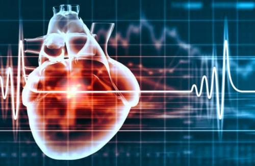 Bài thuốc đông y hỗ trợ trị chứng rối loạn nhịp tim cực hiệu quả