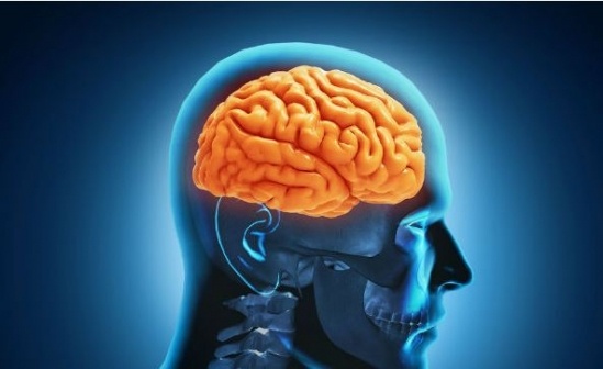 Những lợi ích bất ngờ của stress trong tăng trí nhớ và hệ miễn dịch