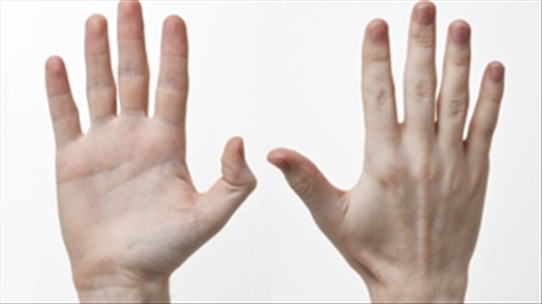 Chiều dài của ngón trỏ có thể tiết lộ kích thước 'cậu nhỏ'