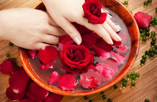 Tác dụng của hoa cúc, hoa hồng trong giải độc, giảm béo