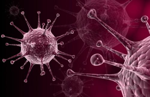 Virut cự bào là gì? Điều trị virut cự bào như thế nào cho hiệu quả?