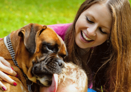 Gợi ý 7 cách giúp cún con của bạn luôn luôn khỏe mạnh