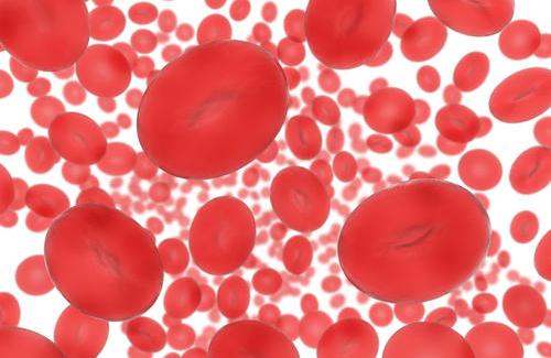 Thiếu máu nhược sắc là gì? Nguyên nhân và cách phòng bệnh