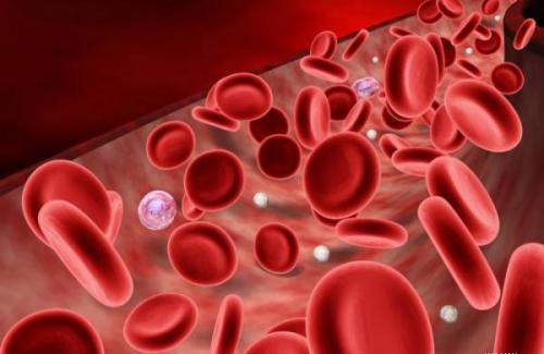 Thiếu máu thiếu sắt - triệu chứng và nguyên nhân gây bệnh
