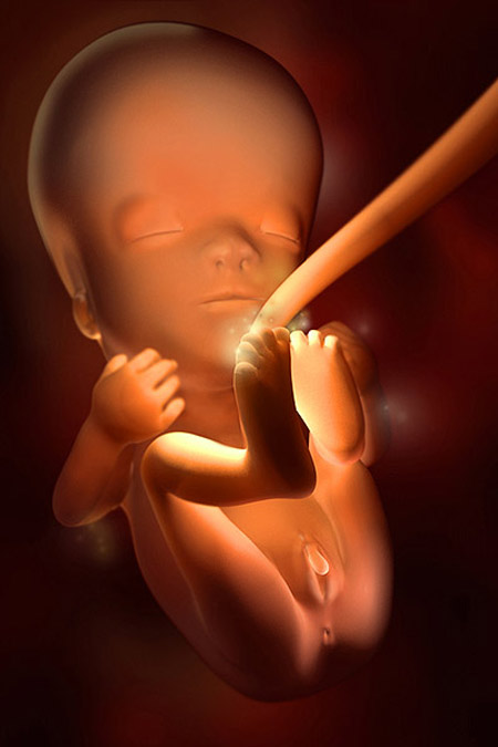 Mẹo nhỏ giúp mẹ bầu tránh mệt mỏi khi ốm nghén thai kỳ