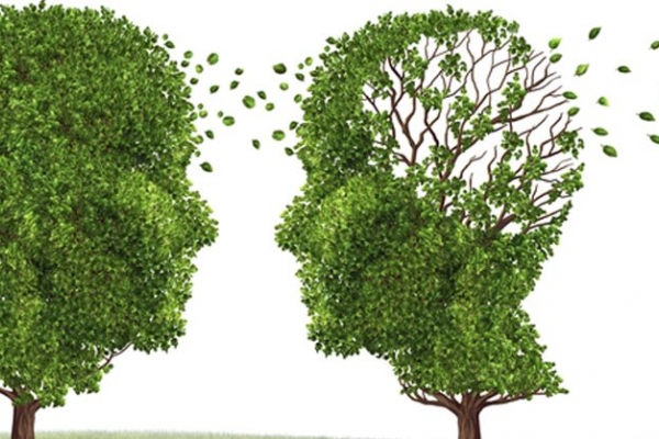 Căn bệnh Alzheimer có thể phòng tránh được hay không?