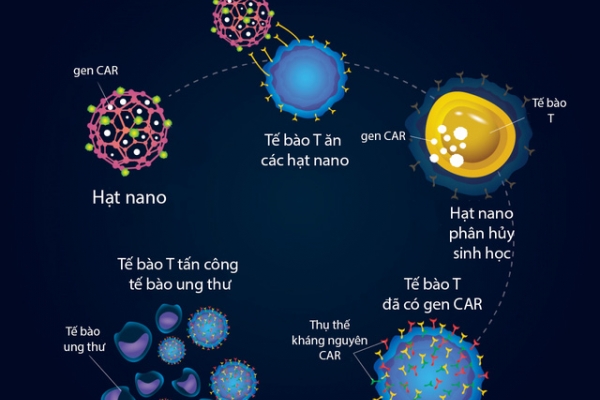 Dùng hạt nano giúp hệ miễn dịch chống ung thư đạt hiệu quả