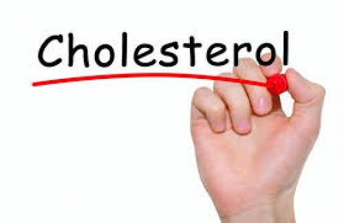 Những nguyên nhân khiến nồng độ cholesterol trong máu cao