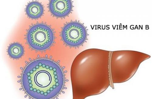 Các virut gây nên bệnh viêm gan và cách phòng ngừa hữu hiệu