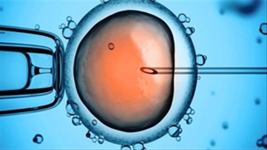 Thụ thai : Thủ tục làm thụ tinh ống nghiệm đơn giản
