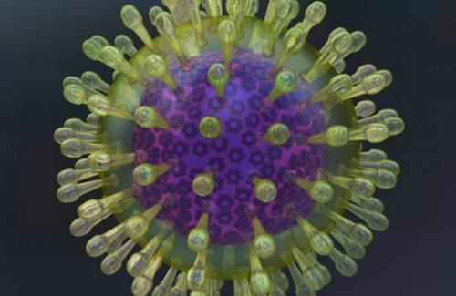 Dấu hiệu nhận biết và con đường lây nhiễm của virut Herpes
