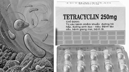 Kháng sinh tetracycline và những lưu ý về tác dụng phụ nên biết