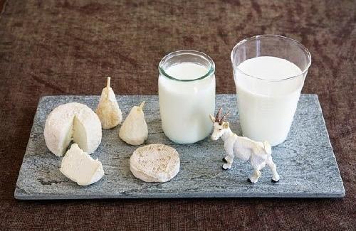 Sức khỏe: Dùng sữa dê làm đẹp để có được làn da trắng sứ