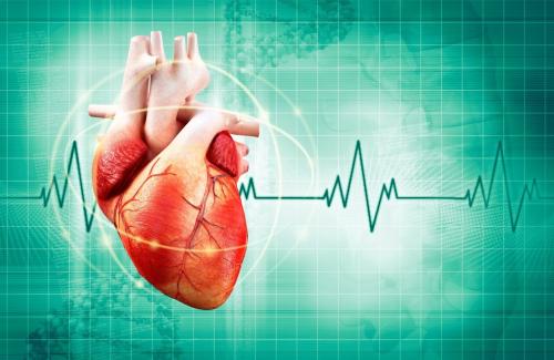 Những thủ phạm làm tăng cholesterol gây tăng nhịp tim, huyết áp