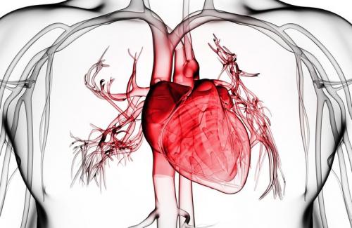 Nguyên nhân dẫn đến căn bệnh viêm màng ngoài tim co thắt