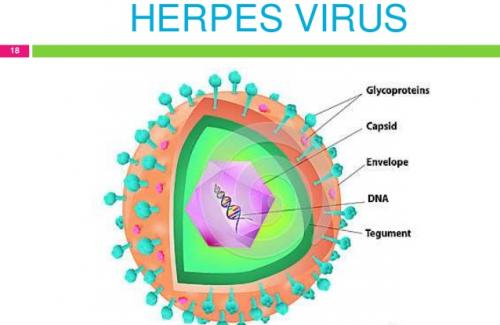 Những dấu hiệu nhận diện bệnh viêm não do virut Herpes