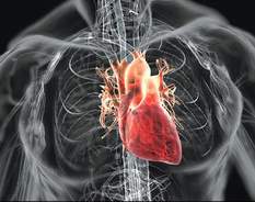 Các dạng suy tim cần dùng digoxin và những lưu ý khi sử dụng digoxin