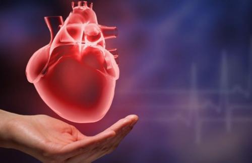 Suy tim, nhịp tim nhanh là biểu hiện của chứng bệnh nhiễm độc tim