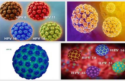 Nhiễm HPV - Nguyên nhân của nhiều loại bệnh ung thư nguy hiểm