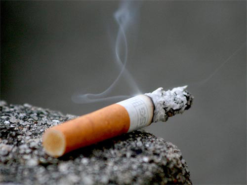 Hệ tiêu hóa, não...là những bộ phận bị tổn hại do khói thuốc lá