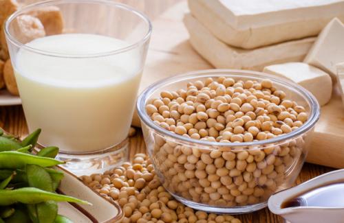 Nếu uống nhiều sữa đậu nành có thể bị ung thư vú có đúng không?