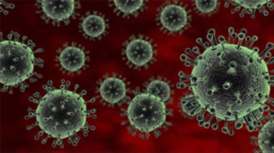 Cần cảnh giác và đề phòng với dịch bệnh cúm A H5N1