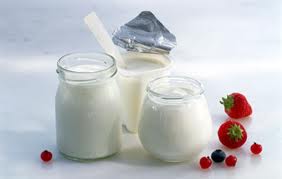 Có nên dùng chế phẩm vi sinh, sữa chua cùng thuốc kháng sinh?