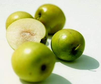 Cây táo ta - nguồn thuốc quý được sử dụng phổ biến trong y học cổ truyền