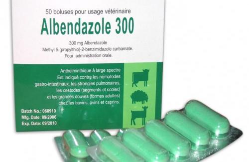 Albendazole là gì? Giải đáp những thắc mắc về viên thuốc tẩy giun albendazole