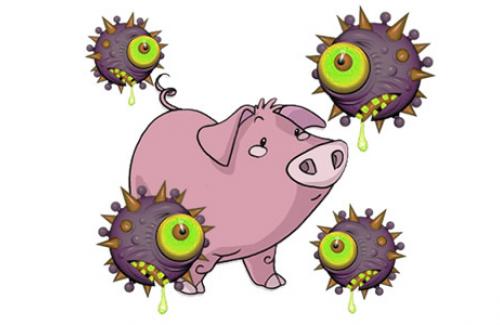 Chẩn đoán và điều trị bệnh cúm lợn A H1N1 nguy hiểm ở người