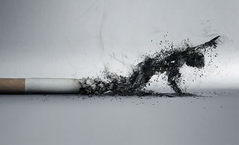 Cảnh báo nguy cơ co thắt phế quản khi dùng thuốc lá kết hợp với tân dược