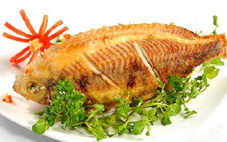 Cá - thực phẩm rất tốt cho sức khỏe và những lưu ý khi ăn cá