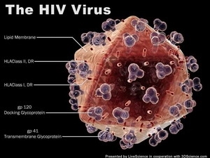 Phát hiện độc tố giúp cải thiện sự miễn dịch với HIV, viêm gan b