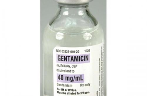 Cảnh báo triệu chứng nhiễm độc thận ở người bị hạ huyết áp khi dùng Gentamicin