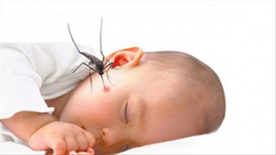 Liệu trẻ sơ sinh bị nhiễm vi-rút Zika sẽ bị tật teo não?