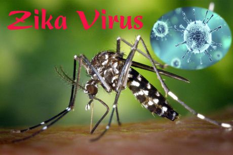 Các bệnh: Vết ngứa do muỗi đốt làm lây nhanh virus Zika