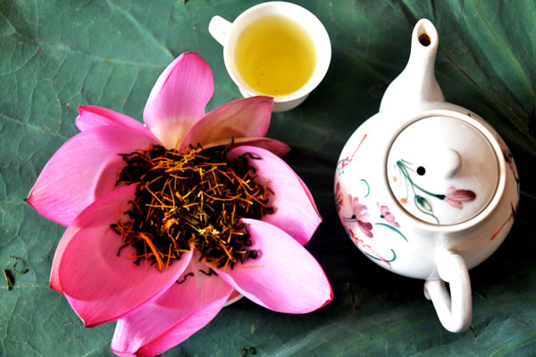 Giới thiệu 10 bài trà dược tăng cường sức khỏe phòng trị bệnh