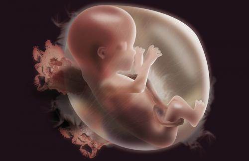 Làm móng lúc mang thai 3 tháng thai nhi có thể bị dị tật
