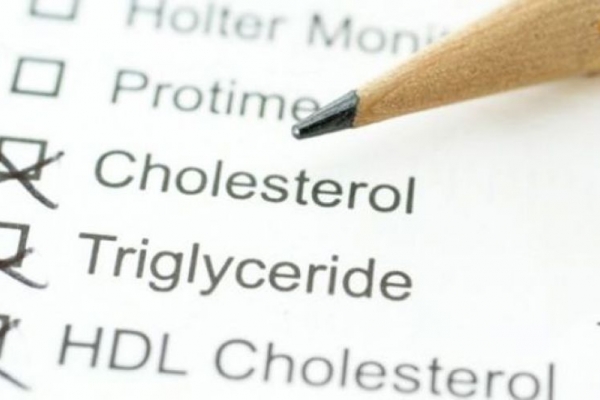 ok:Hàm lượng cholesterol có thể liên quan tới đau gân?