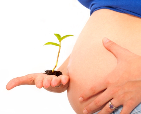 Cách phòng thai lưu từ sớm để không gây hậu quả nghiêm trọng