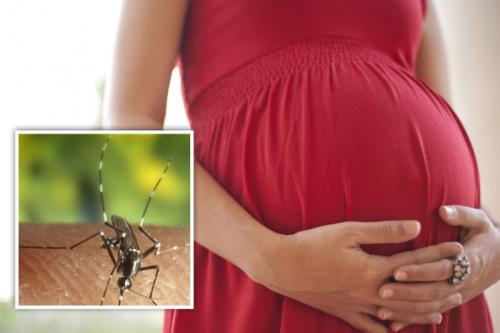 Thai lưu, sảy thai và bà mẹ mang tha nhiễm Zika liên quan đến nhau như thế nào?