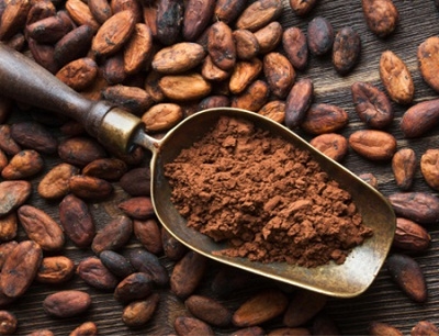 Flavanols có trong cacao giúp cải thiện trí nhớ hiệu quả?