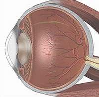 Glaucoma bẩm sinh ở trẻ nhỏ chữa trị bằng cách gì hiệu quả?