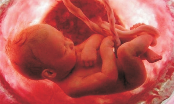 Phát hiện bất thường và dị tật bào thai như thế nào?