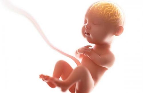 Giãn não thất ở thai nhi: Cần được theo dõi và điều trị