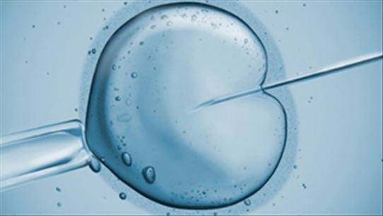 Biện pháp làm trẻ hóa trứng của người phụ nữ để tăng khả năng sinh sản