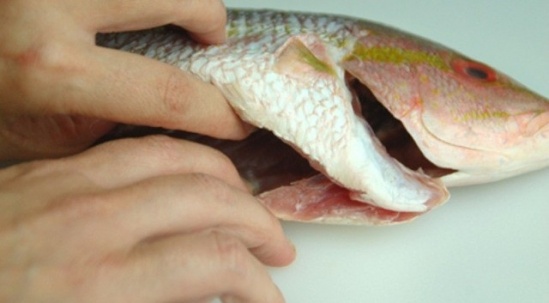 Ăn bộ phận này của cá sẽ khiến cả nhà bị ngộ độc nghiêm trọng