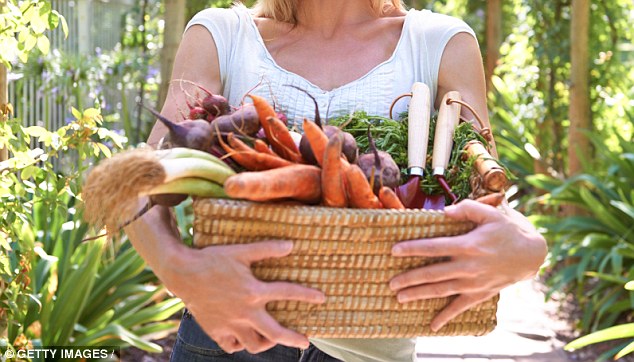 Sức khỏe: Muốn một thân hình cường tráng, liệu ăn chay có hợp lý?