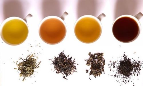 8 sai lầm phổ biến trong cách pha trà nên bỏ ngay lập tức