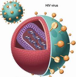 Bạn đã biết những thông tin về HIV/AIDS như thế nào?